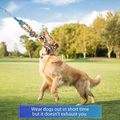 Interactive Dog Flirt Pole for Chase Training