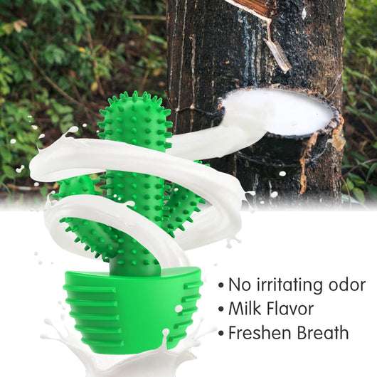 Squeaky Dog Toothbrush Toy for Aggressive Chewers