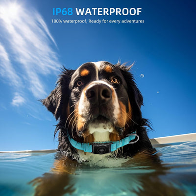 Waterproof AirTag Dog Collar