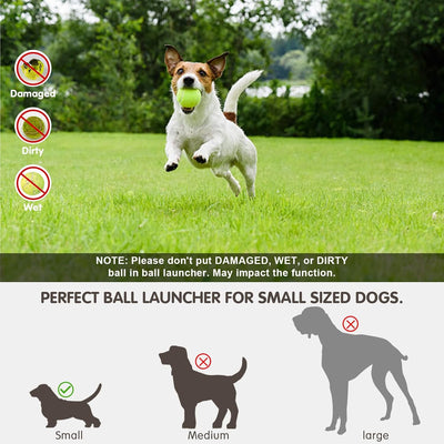 Mini Dog Ball Launcher | Automatic Fetch Toy