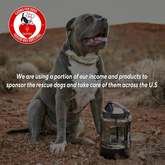 77oz Portable Dog Water Bottle Travel Bowl
