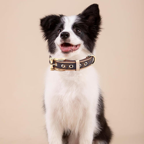 Leather Dog Collar | Soft Padded Durable Adjustable Collar