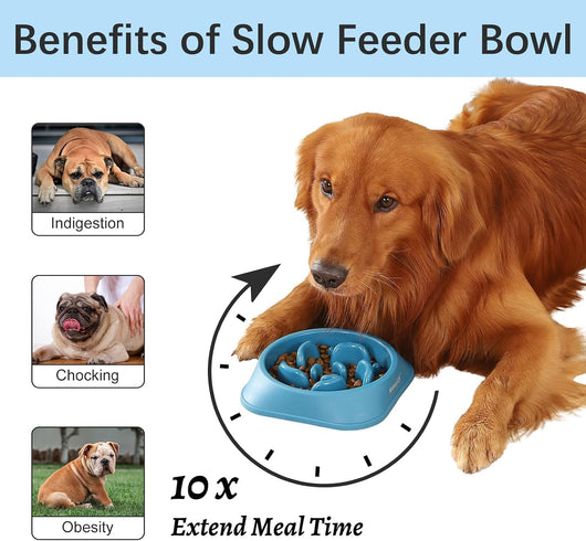 Slow Feeder Puppy Bowl For Healthy Eating Habits