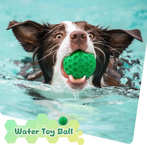 Indestructible Squeaky Dog Ball
