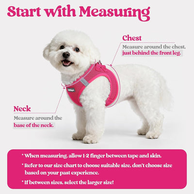 Step In Puppy Harness With Leash Walking Set