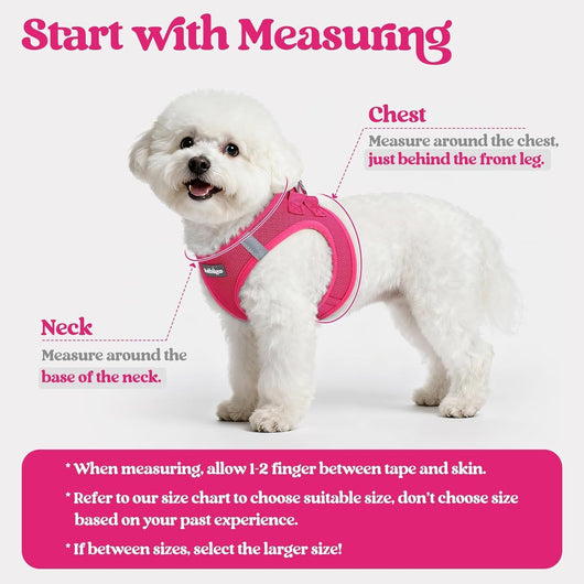 Step In Puppy Harness With Leash Walking Set