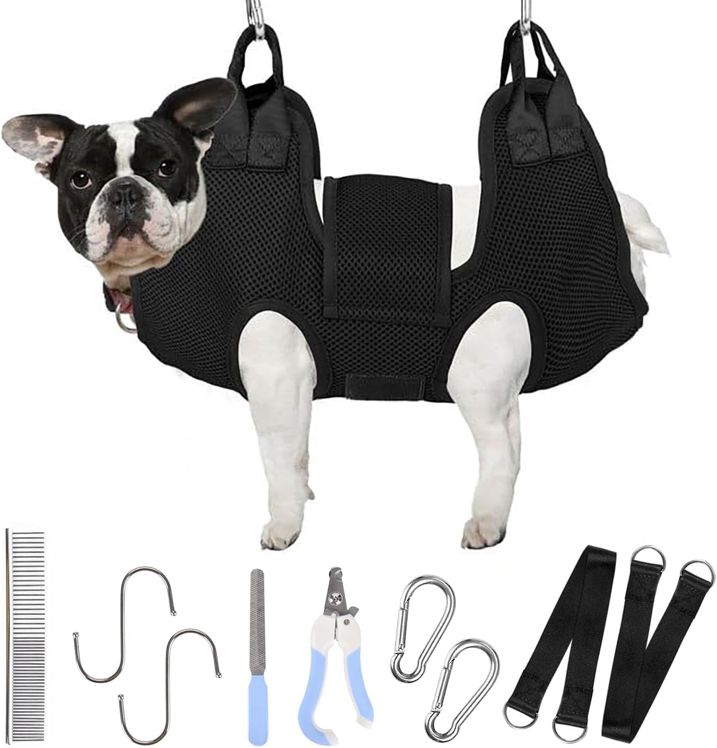 Puppy Starter Essentials