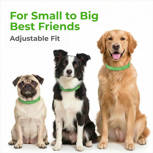 Natural Flea & Tick Collar for Dogs I Waterproof
