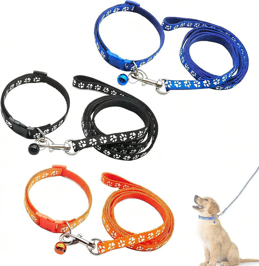 Six piece puppy collar leash set with colorful adjustable collars for small dogs