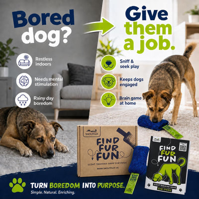 Nose Work Scent Training Kit For Bored Dogs