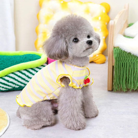 2 Pack Cute Dog T-Shirts for Small Dogs – Soft Cotton Breathable Puppy Clothes
