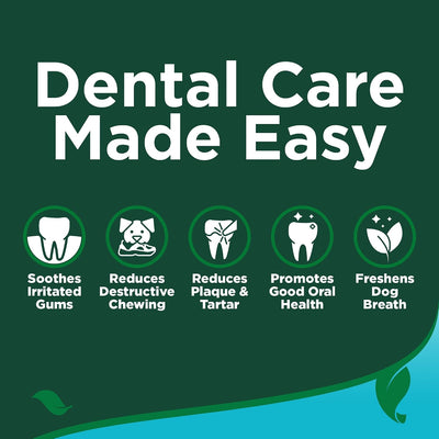 Dog Dental Care Kit With Toothpaste Toothbrush