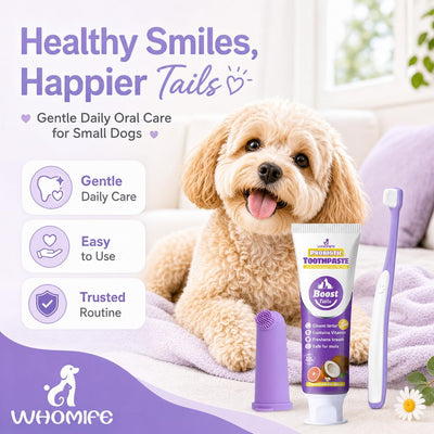 Small Dog Toothbrush Kit With Dental Toothpaste