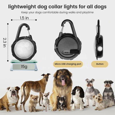 Rechargeable Dog Collar Lights for Night Walks