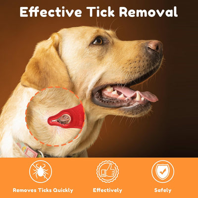 3-Pack Portable Tick Remover Keys for Dogs