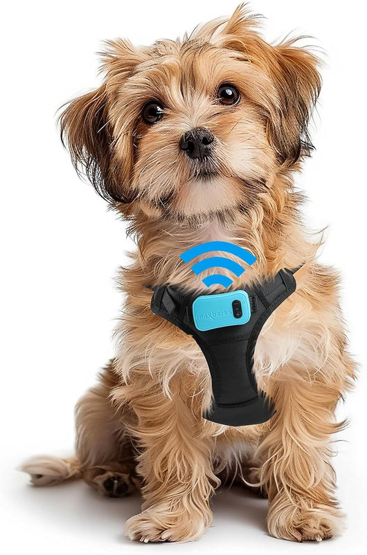 Small Dog Bark Control Vest I Rechargeable No Bark Device