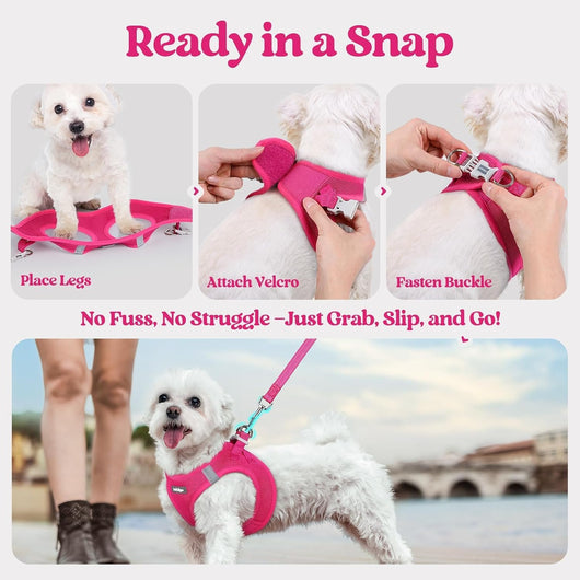Step In Puppy Harness With Leash Walking Set