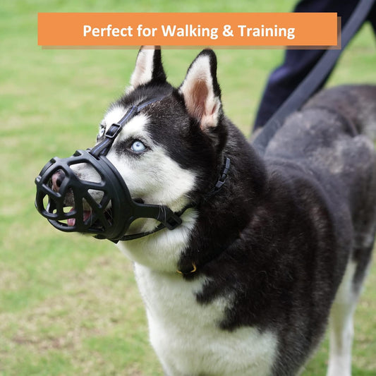 Humane Basket Dog Muzzle for Safe Training