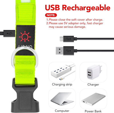 LED USB Rechargeable Safety Dog Collar