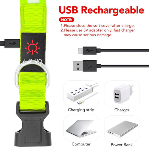 LED USB Rechargeable Safety Dog Collar