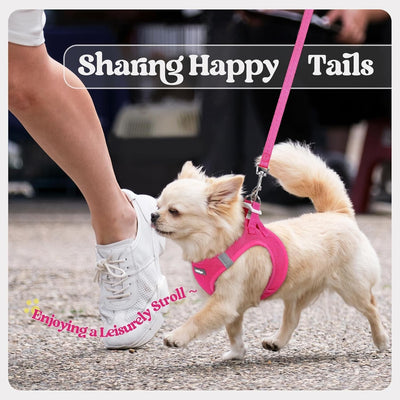 Step In Puppy Harness With Leash Walking Set