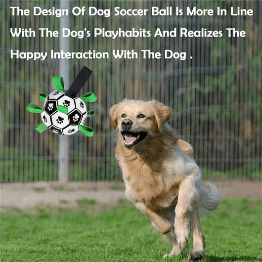 Dog Soccer Ball 6" I Tug & Water Toy