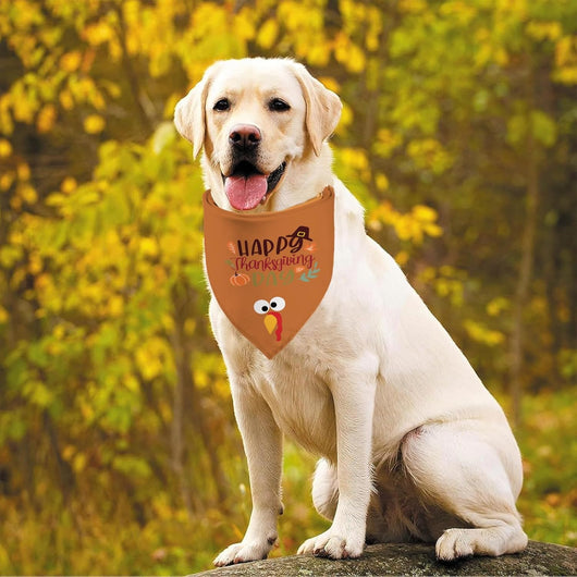 Thanksgiving Turkey Dog Bandana Two-Pack for Celebrations