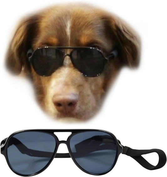 Medium Dog Aviator Sunglasses Costume Black
