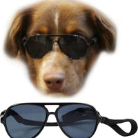 Medium Dog Aviator Sunglasses Costume Black