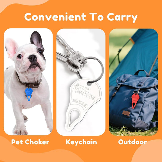 3-Pack Portable Tick Remover Keys for Dogs