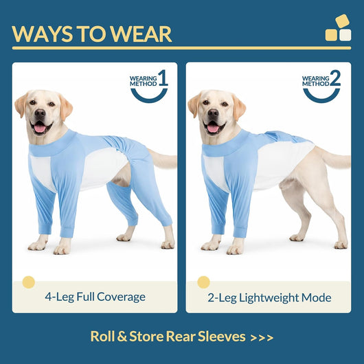Big Dog Cooling Suit I UV Protection Blue color