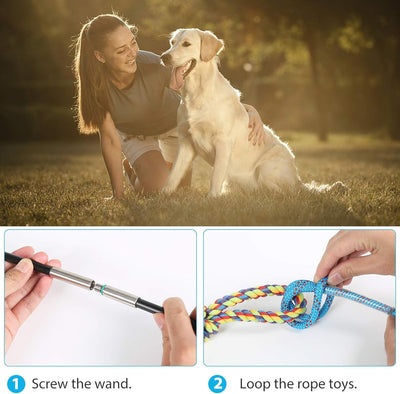 Interactive Dog Flirt Pole for Chase Training