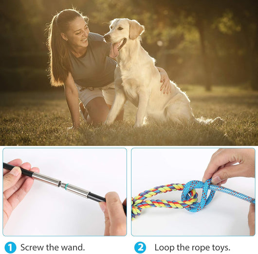 Interactive Dog Flirt Pole for Chase Training