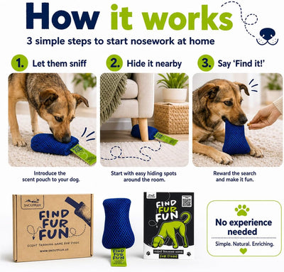Nose Work Scent Training Kit For Bored Dogs
