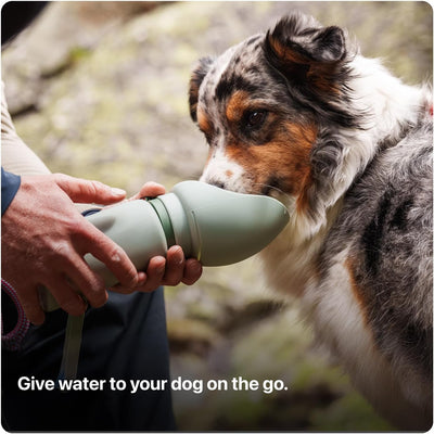 Collapsible Dog Water Bottle with Travel Bowl
