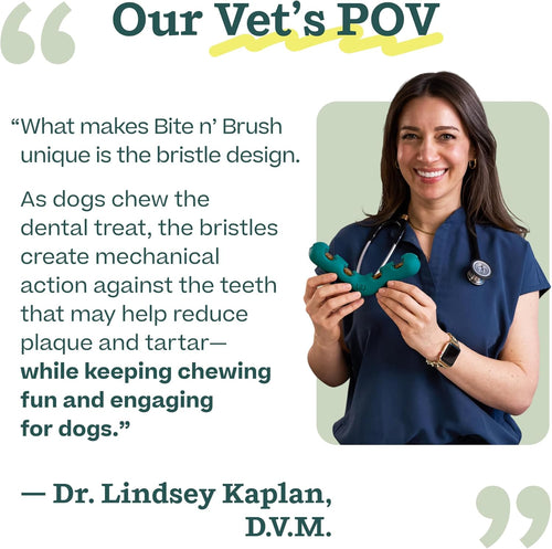Woof Bite n' Brush Dog Toy