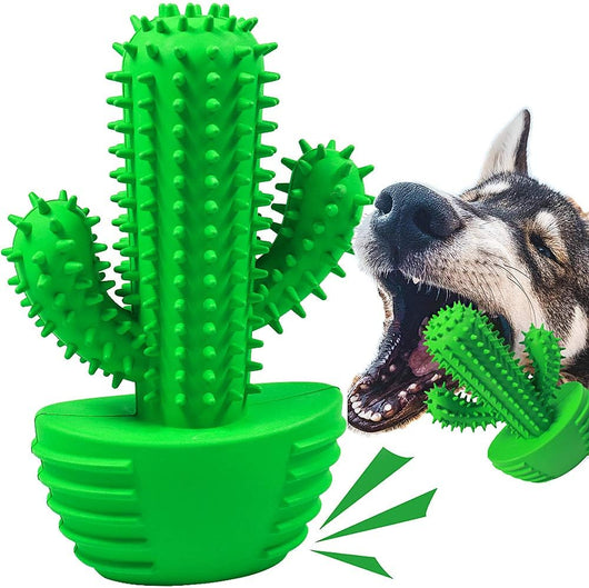 Squeaky Dog Toothbrush Toy for Aggressive Chewers