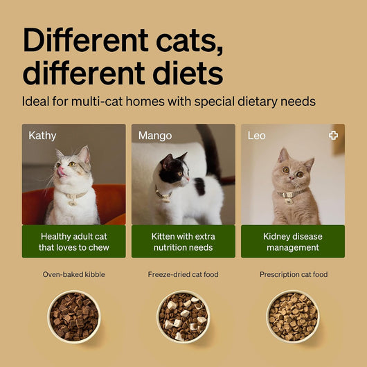 Smart RFID Automatic Cat Feeder Collar Sensor