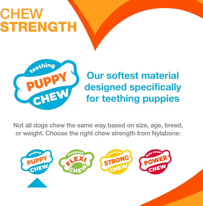 Puppy Teething Chew Toys Starter Kit Set
