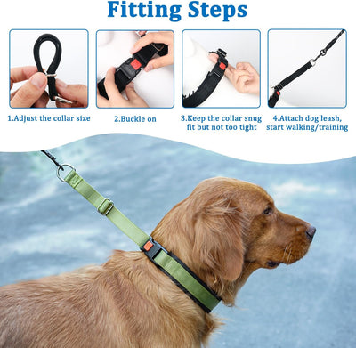 No-Pull Martingale Dog Training Collar