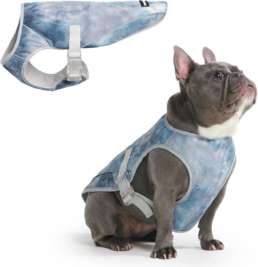 Evaporative dog cooling vest for summer walks hiking and outdoor adventures