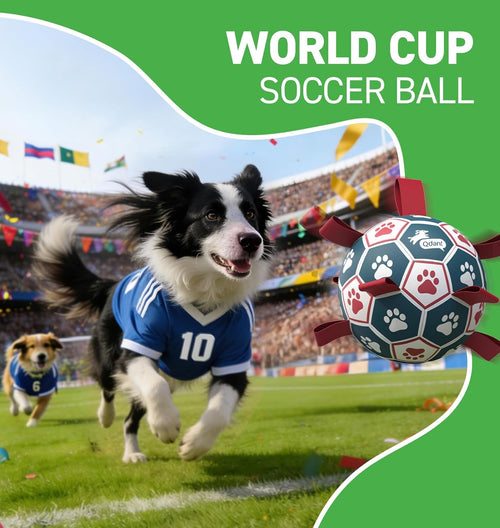 QDAN Dog Soccer Ball 6" I Toy for Small & Medium Dogs