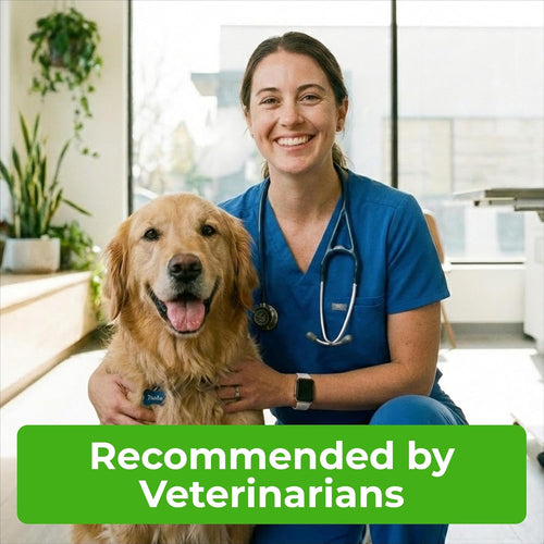 Natural Flea & Tick Collar for Dogs I Waterproof