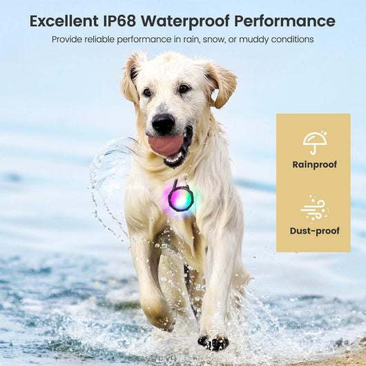 Rechargeable Dog Collar Lights for Night Walks