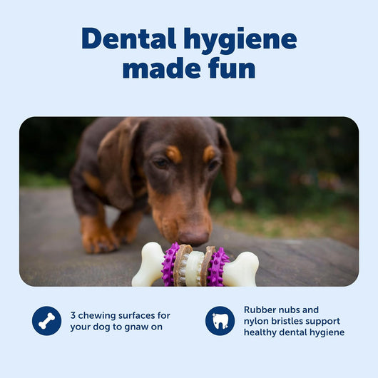 Dog Toothbrush Chew Toy for Aggressive Chewers