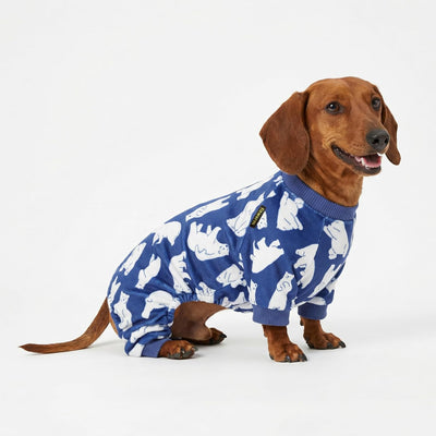 Cozy Bear Velvet Pajamas for Dogs