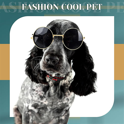Dog Sunglasses Retro Round Metal Style