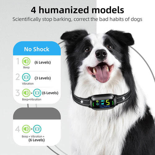 Rechargeable Anti Barking Collar I Beep & Vibration