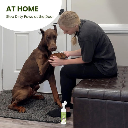 No-Rinse Pet Paw Foam Cleaner