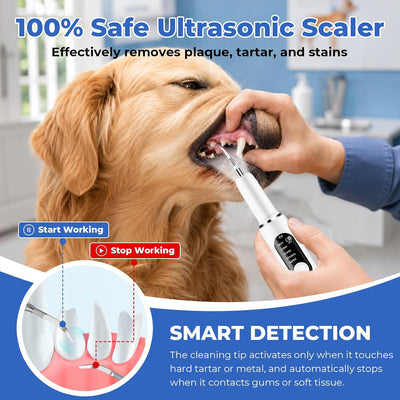 Ultrasonic Dog Toothbrush & Dental Kit
